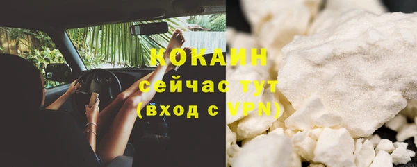 МДПВ Лагань