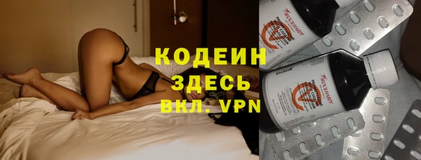 твердый Долгопрудный