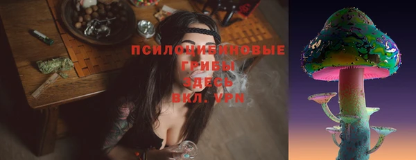 МДПВ Лагань